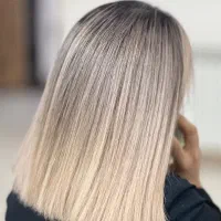 یک مدل برای آمبره روسی