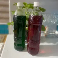 دو عددشیره (شربت )گل سرخ ونعنا پلمب