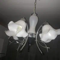 ِلوستر