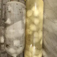 کپسول پراید کارخانه تاریخ گذشته کم کار