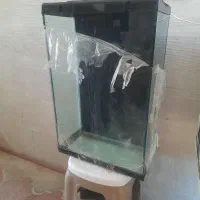 آکواریوم