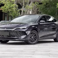 Byd چینل|خودرو سواری و وانت|تهران, اختیاریه|دیوار