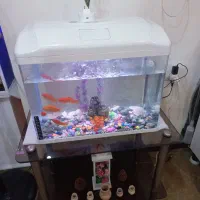 آکواریوم با ماهی ومیز .کامل