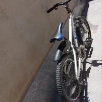 دوچرخه سایز 20 ویوا