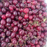 گیلاس تک دانه و گوجه ۴۵هزار