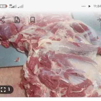 دنبال کار قصابی و مرغ فروشی هستم