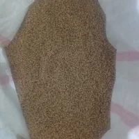 گندم|گل و گیاه طبیعی|اهواز, کوی صنایع|دیوار