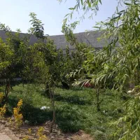مشارکت ویلایی ۲۱۵ متری