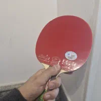 فروش انواع لوازم پینگ‌پنگ با قیمت مناسب