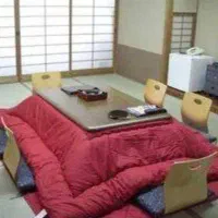 کرسی برقی ارس