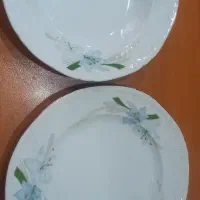 بشقاب غذاخوری و خورشت همه باهم چهارصد