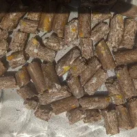 خوراک دام  ( شیری )