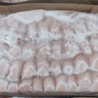 شنیسل سینه مرغ منجمد