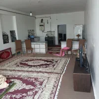 محله دانه های روغنی