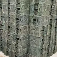 سبد رنگ سبز
