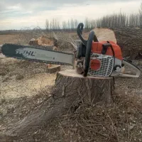 خریدوبرش همه نوع درخت وچوب
