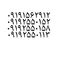 ۰۹۱۹.۲۵۵.۰۱۱۳