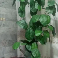 گل مصنوعی