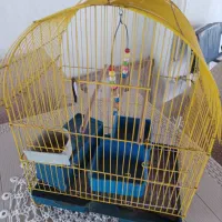 قفس بزرگ سالم ۵۰۰ هزارتومن