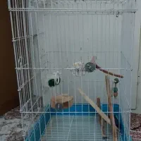 قفس بزرگ کاسکو کاکاکدو