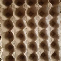 کارتن و شانه تخم مرغ