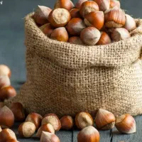 فندوق تازه تک پوست ییلاقات اشکورات