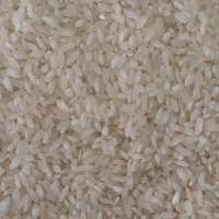 برنج درجه یک کامفیروزی خوش عطر