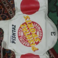 هوگو تکواندو