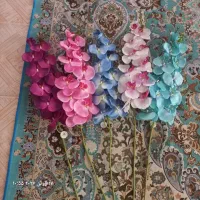 گل ارکیده تمیز و نو
