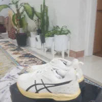 کفش اسپرت