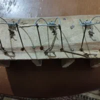 تله موش