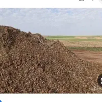 کود مرغ