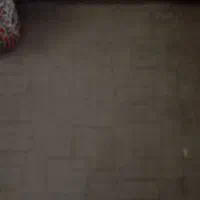 موکت