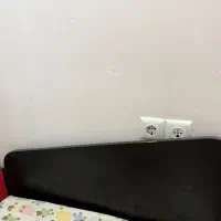 تخت|تخت و سرویس خواب|لنگرود, |دیوار