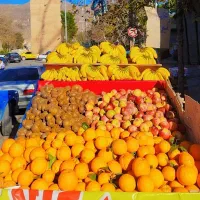 2 عدد گاری و چرخ دستی میوه و خشکبار