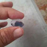نگین شجر|جواهرات|سقز, |دیوار