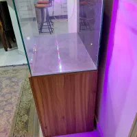 اکواریوم ریملس apa