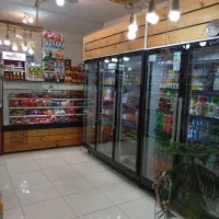 واگذاری پروتئینی