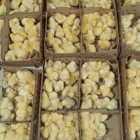 جوجه گوشتی راس 308 و بومی درجه یک