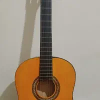 گیتار مبتدی|گیتار، بیس، امپلیفایر|مهاجران, |دیوار