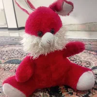 خرگوش خوشگل