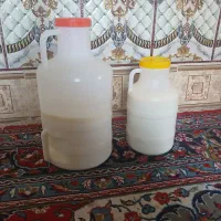 شیر تازه