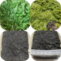 سبزی سرخ کرده پیاز و سیر و شوید ونعنا خشک