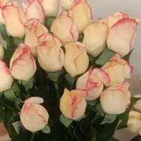 گل رز هلندی رنگ سفید صورتی مصنوعی