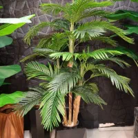 درختچه اریکا