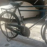 دوچرخه سه مار در حدصفر