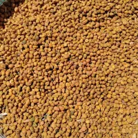 فروش نخود محلی