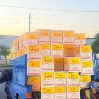 بنکداری و پخش تخم مرغ در کرج
