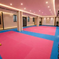 آموزش تخصصی تکواندو(با حداقل هزینه)