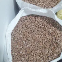 بادام